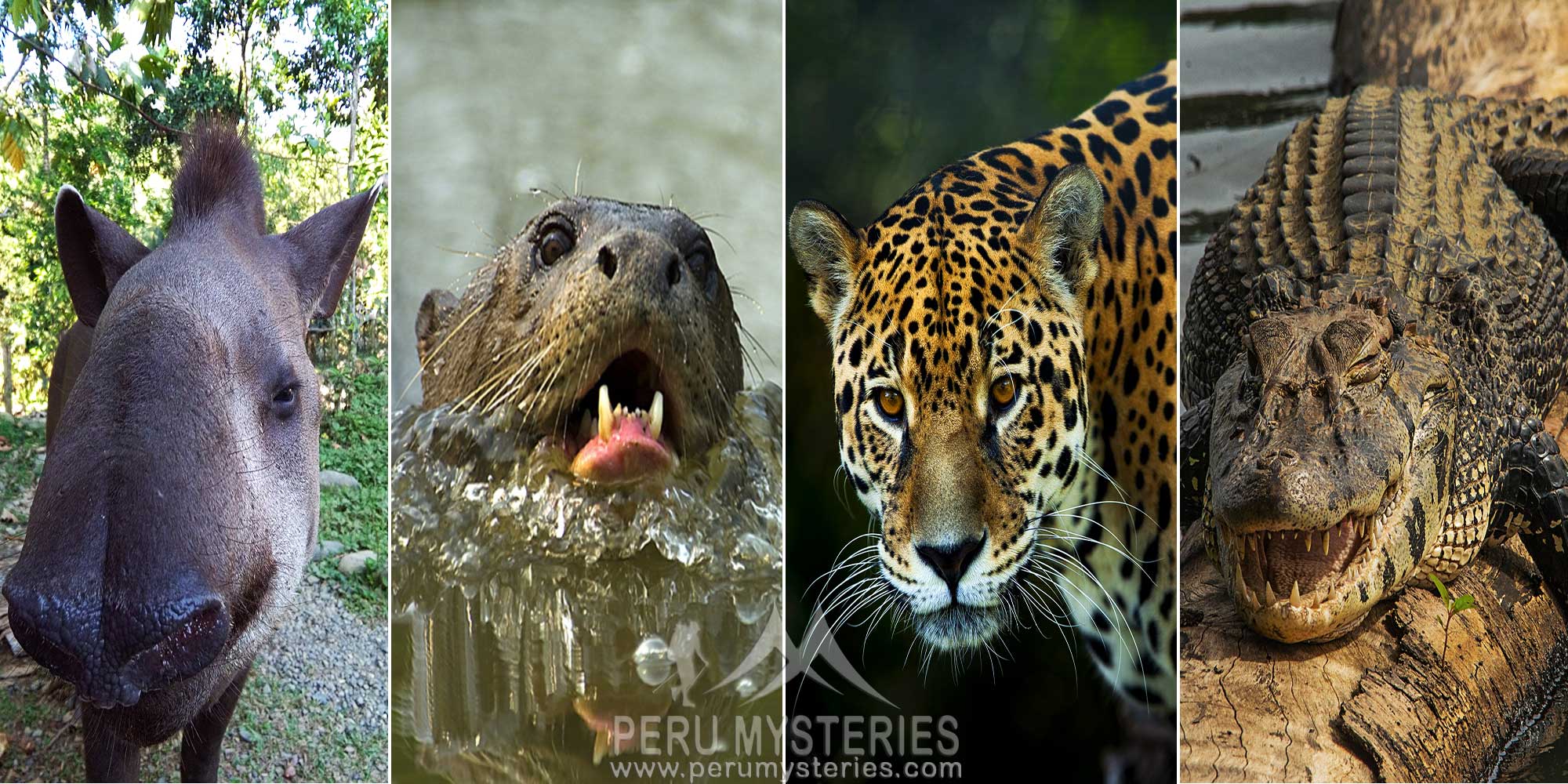 UNFORGETTABLE ADVENTURE - MANU TOURS