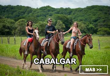 Horse riding