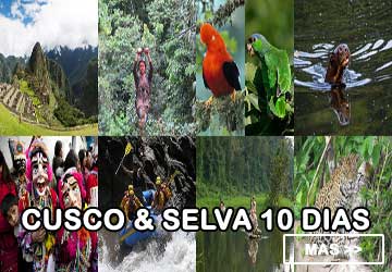 Visit Manu, reserved zone 6 days