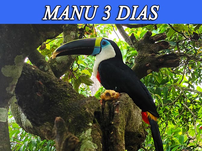 Visita el parque nacional del manu, zona cultural 3 dias