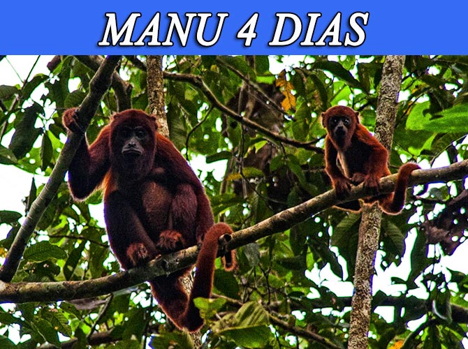 Visita el parque nacional del manu, zona cultural 4 dias