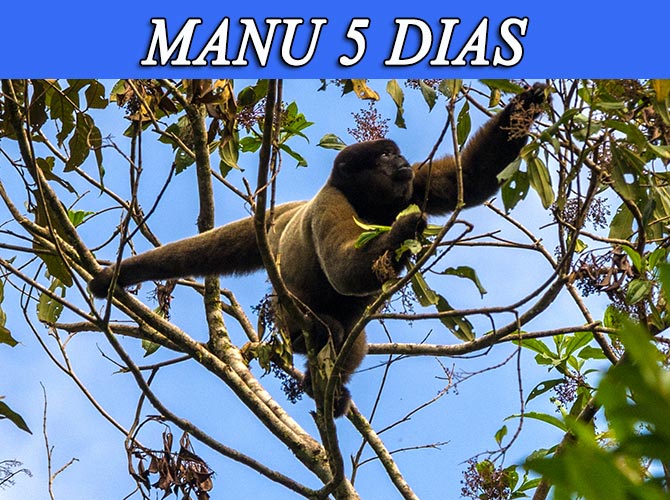 Visita el parque nacional del manu, zona cultural 5 dias