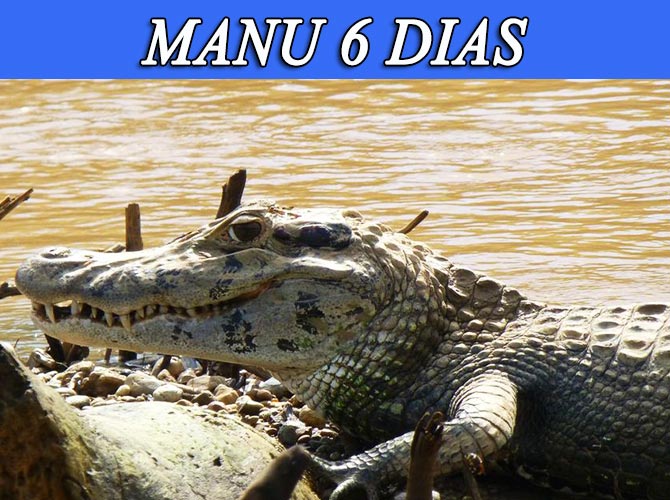 Visita el parque nacional del manu, zona reservada 6 dias